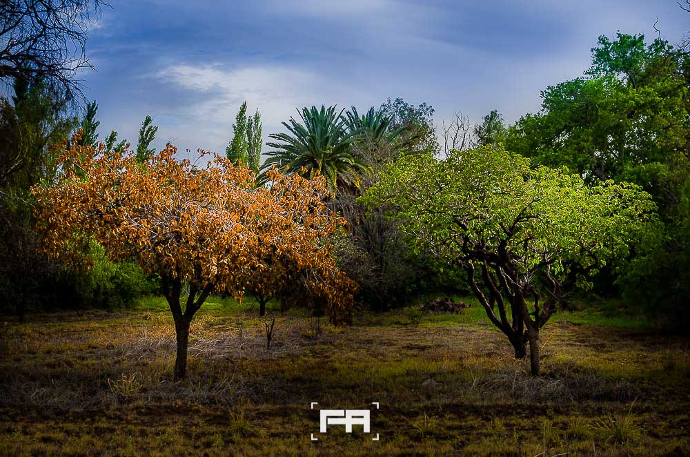 fotografo-san-rafael-de-autor